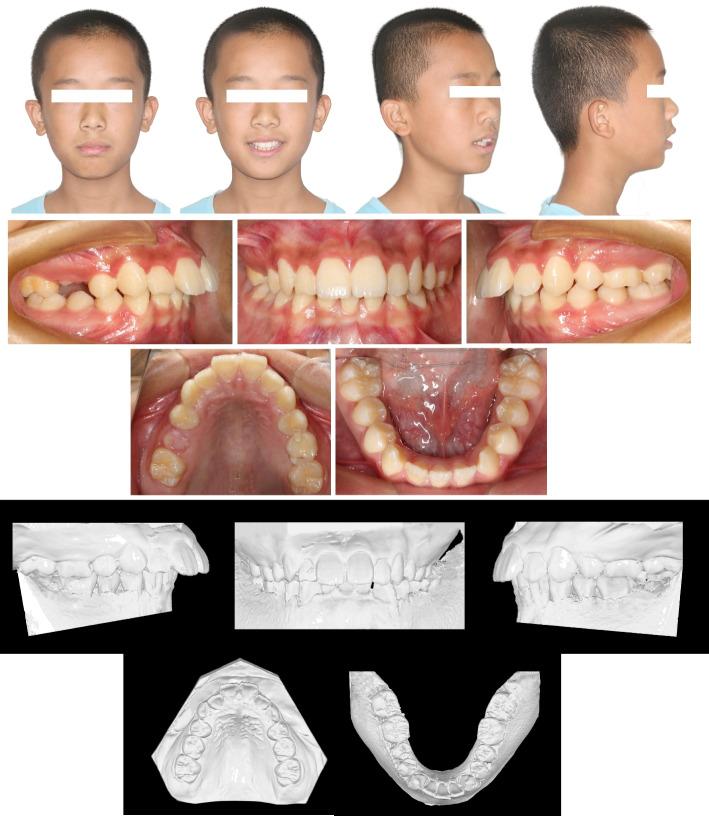 https://cdn.ncbi.nlm.nih.gov/pmc/blobs/865a/11479465/9d2f6db57f08/12903_2024_4902_Fig1_HTML.jpg
