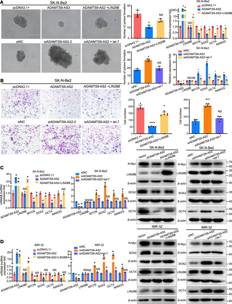 https://cdn.ncbi.nlm.nih.gov/pmc/blobs/865b/10721320/b5a2d14926a0/jciinsight-8-165703-g122.jpg