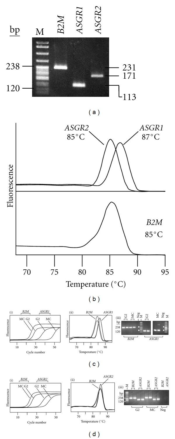 https://cdn.ncbi.nlm.nih.gov/pmc/blobs/865b/3419429/060d85fb46d4/MBI2012-283974.005.jpg