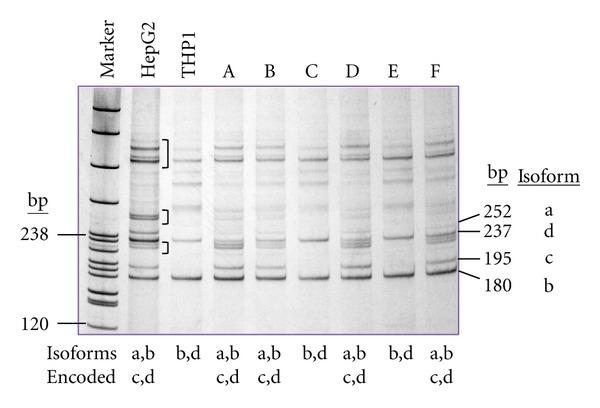 https://cdn.ncbi.nlm.nih.gov/pmc/blobs/865b/3419429/d5df967b0ec0/MBI2012-283974.004.jpg