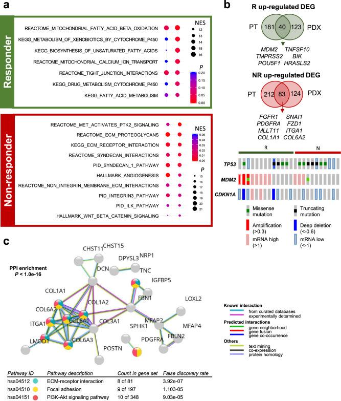 https://cdn.ncbi.nlm.nih.gov/pmc/blobs/865b/8355375/d548e2da5422/41467_2021_25122_Fig3_HTML.jpg