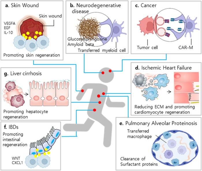 https://cdn.ncbi.nlm.nih.gov/pmc/blobs/865f/10545778/93ab04ea4025/12276_2023_1068_Fig3_HTML.jpg