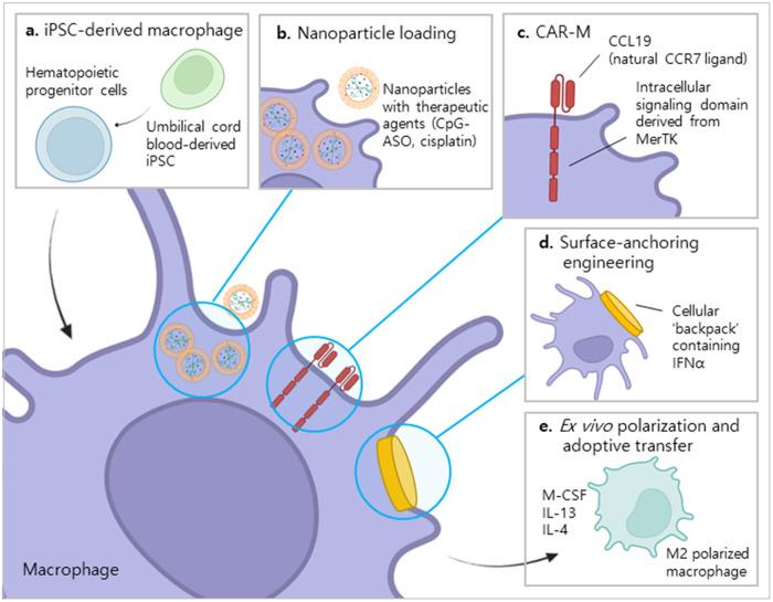 https://cdn.ncbi.nlm.nih.gov/pmc/blobs/865f/10545778/f26de9015abc/12276_2023_1068_Fig2_HTML.jpg