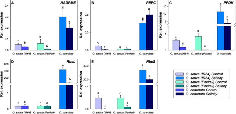 https://cdn.ncbi.nlm.nih.gov/pmc/blobs/8660/10441962/0129efa2b0c4/44154_2021_16_Fig9_HTML.jpg
