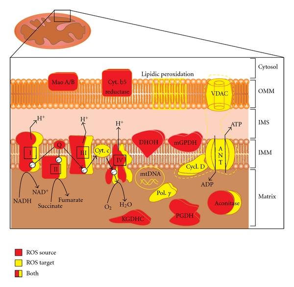 https://cdn.ncbi.nlm.nih.gov/pmc/blobs/8661/3235816/e22f053748af/JST2012-329635.001.jpg