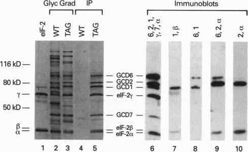 https://cdn.ncbi.nlm.nih.gov/pmc/blobs/8661/46714/7fbc75be4137/pnas01463-0600-a.jpg