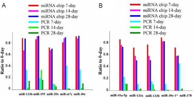 https://cdn.ncbi.nlm.nih.gov/pmc/blobs/8661/5020829/41e9ae082e80/NRR-11-1293-g003.jpg