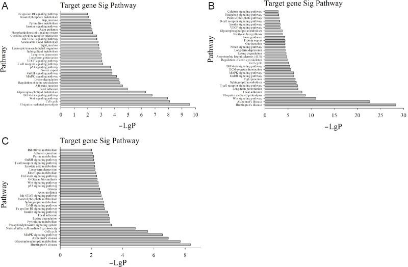 https://cdn.ncbi.nlm.nih.gov/pmc/blobs/8661/5020829/7aa8809495c7/NRR-11-1293-g007.jpg