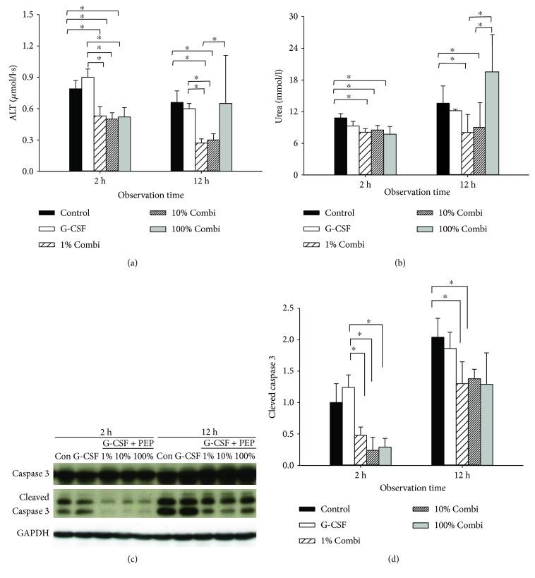 https://cdn.ncbi.nlm.nih.gov/pmc/blobs/8661/6247567/5c0c76eeda53/JIR2018-6085095.002.jpg