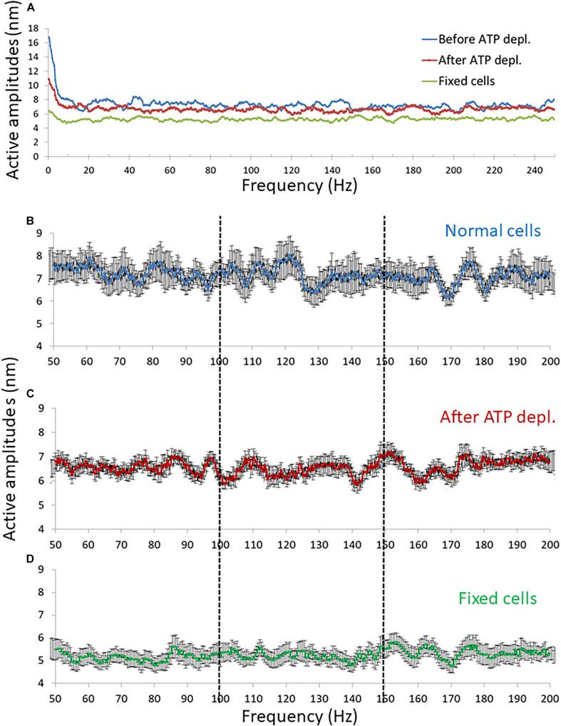 https://cdn.ncbi.nlm.nih.gov/pmc/blobs/8661/8222795/052102c1872e/fcell-09-590655-g008.jpg
