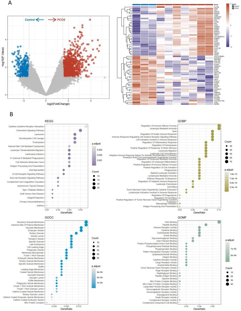 https://cdn.ncbi.nlm.nih.gov/pmc/blobs/8662/12338319/beeca1671c34/IJWH-17-2451-g0005.jpg