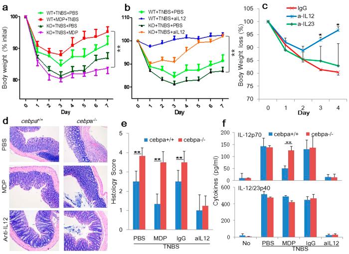 https://cdn.ncbi.nlm.nih.gov/pmc/blobs/8663/4495563/e4528176e18d/srep12018-f7.jpg