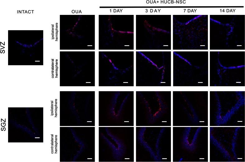 https://cdn.ncbi.nlm.nih.gov/pmc/blobs/8663/5085993/2983ca4e1538/12035_2015_9530_Fig2_HTML.jpg