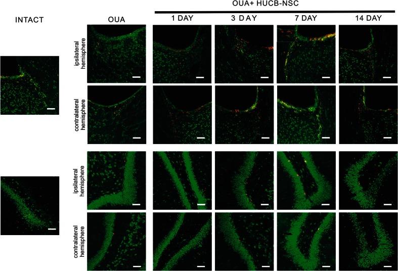 https://cdn.ncbi.nlm.nih.gov/pmc/blobs/8663/5085993/904ef2163030/12035_2015_9530_Fig4_HTML.jpg