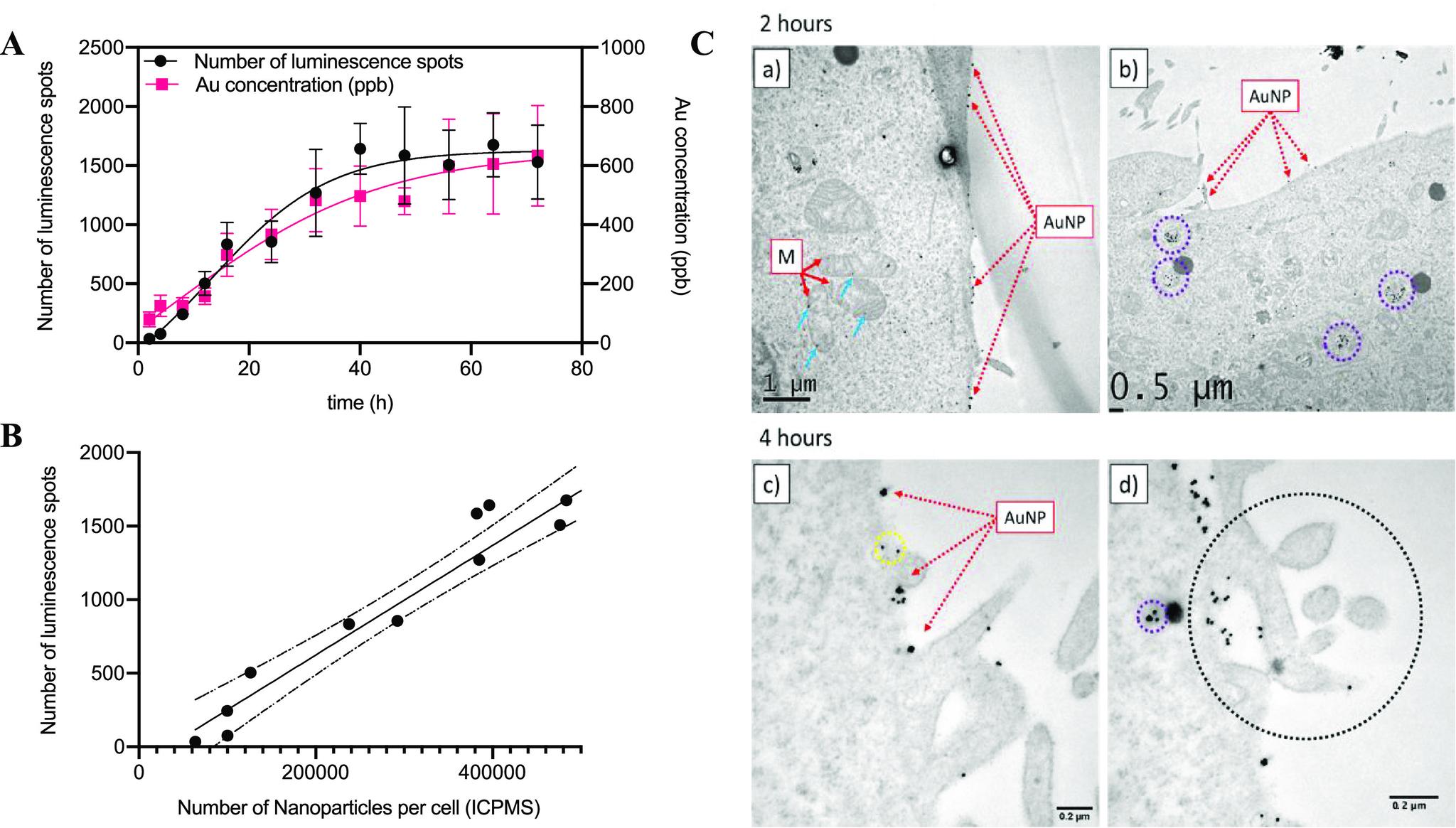 https://cdn.ncbi.nlm.nih.gov/pmc/blobs/8667/8395624/6b9449d26769/au0c00033_0002.jpg