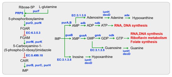 https://cdn.ncbi.nlm.nih.gov/pmc/blobs/8668/12346754/ee424ca35b62/foods-14-02690-g005.jpg