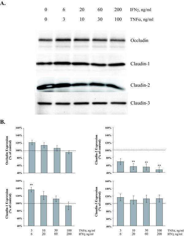 https://cdn.ncbi.nlm.nih.gov/pmc/blobs/866b/1402323/0999f62f26d1/1472-6793-6-2-5.jpg