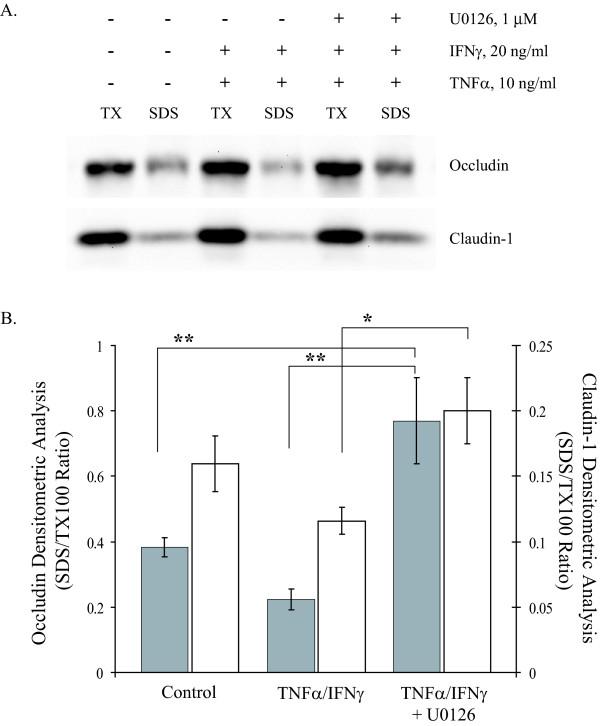 https://cdn.ncbi.nlm.nih.gov/pmc/blobs/866b/1402323/e9d700b0986a/1472-6793-6-2-6.jpg
