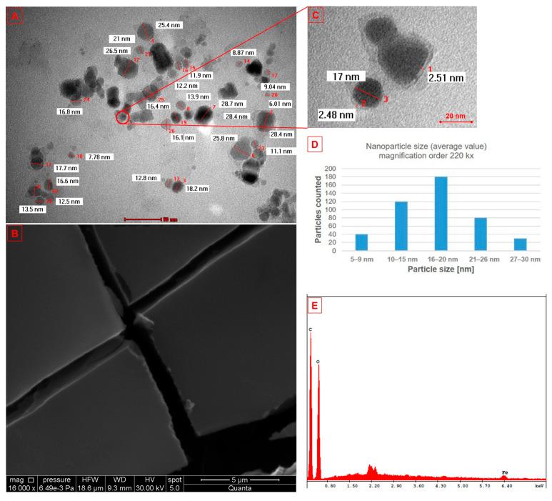 https://cdn.ncbi.nlm.nih.gov/pmc/blobs/866c/12348813/c30a91613301/nanomaterials-15-01192-g002.jpg