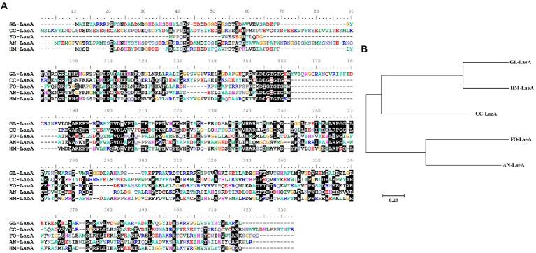https://cdn.ncbi.nlm.nih.gov/pmc/blobs/866c/9614229/c3395da2e1c0/fmicb-13-1025983-g002.jpg