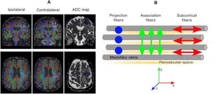 https://cdn.ncbi.nlm.nih.gov/pmc/blobs/866d/11442616/4b1a3c1d4ea1/11604_2024_1602_Fig1_HTML.jpg
