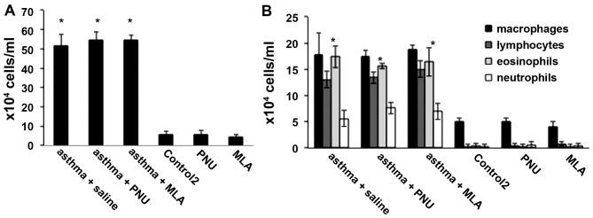 https://cdn.ncbi.nlm.nih.gov/pmc/blobs/866d/5358715/d405b0d63196/IJMM-39-02-0337-g04.jpg