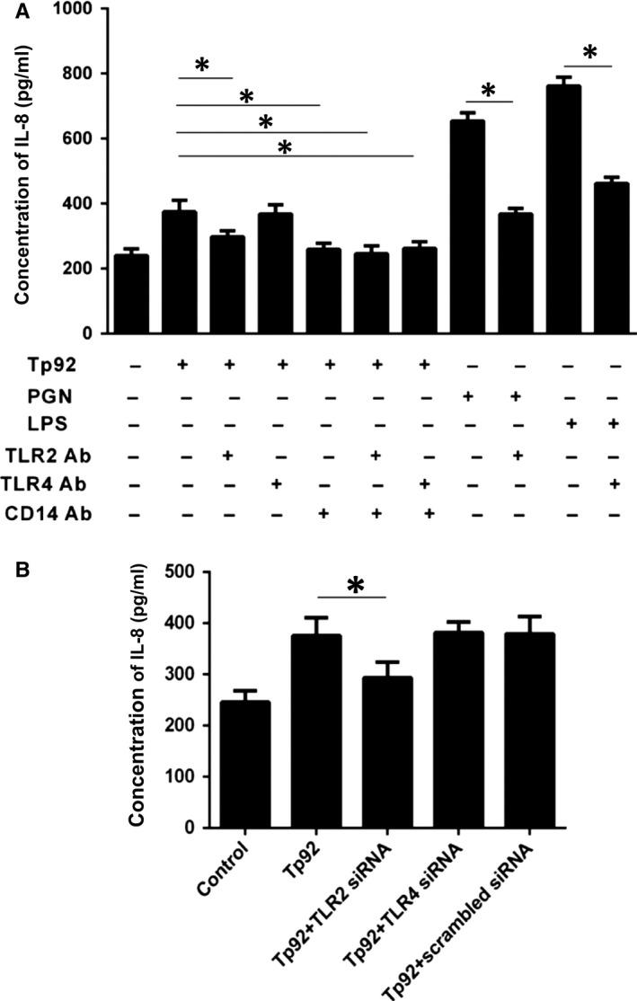 https://cdn.ncbi.nlm.nih.gov/pmc/blobs/866f/6237608/5bcc0390886f/JCMM-22-6039-g011.jpg