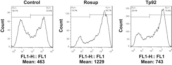 https://cdn.ncbi.nlm.nih.gov/pmc/blobs/866f/6237608/613467c78351/JCMM-22-6039-g006.jpg