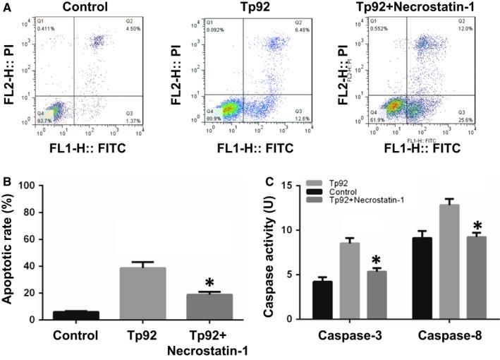 https://cdn.ncbi.nlm.nih.gov/pmc/blobs/866f/6237608/84be98112ade/JCMM-22-6039-g005.jpg