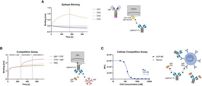 https://cdn.ncbi.nlm.nih.gov/pmc/blobs/8673/10569071/ee2767beff6f/fimmu-14-1258700-g003.jpg