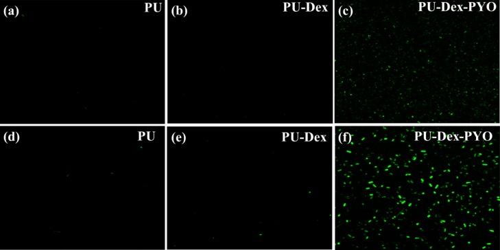 https://cdn.ncbi.nlm.nih.gov/pmc/blobs/8674/6646769/1b8abfa738b5/ao-2018-01607f_0007.jpg