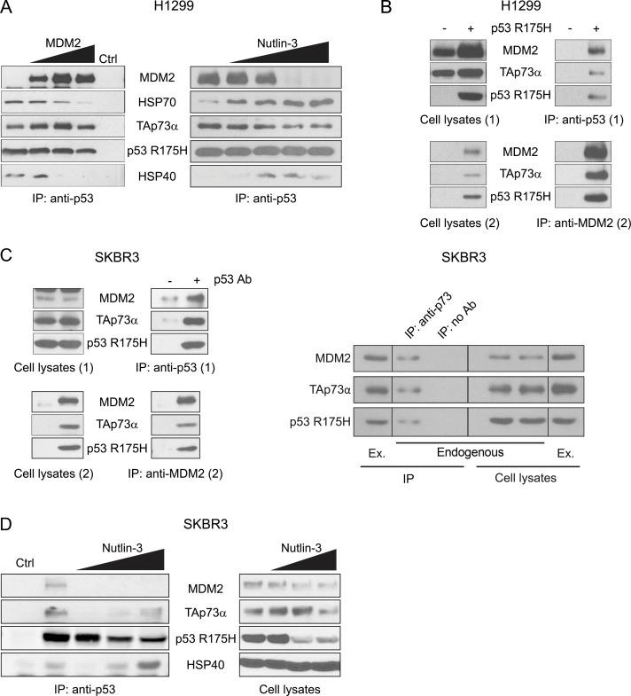 https://cdn.ncbi.nlm.nih.gov/pmc/blobs/8675/5669876/a26d3f5837c8/oncotarget-08-82123-g004.jpg