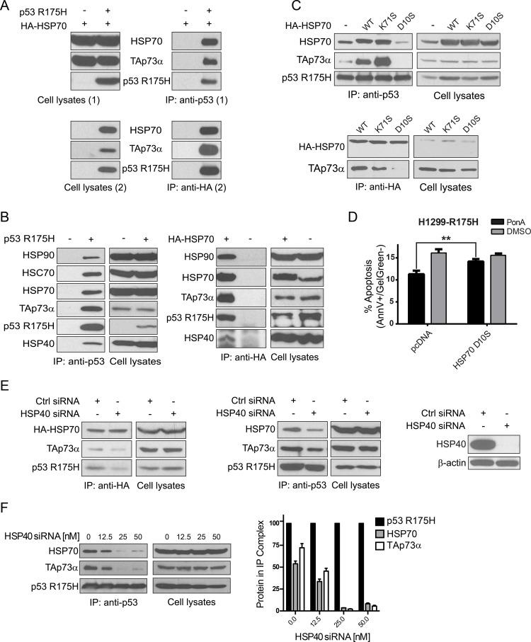 https://cdn.ncbi.nlm.nih.gov/pmc/blobs/8675/5669876/cd85e6604a89/oncotarget-08-82123-g003.jpg