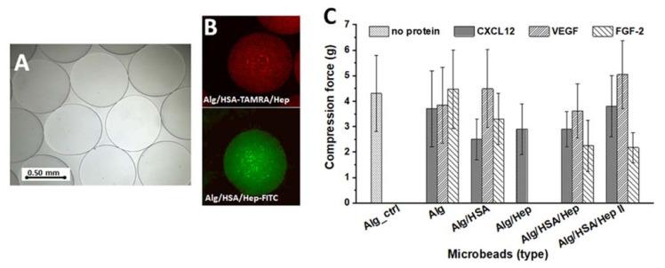 https://cdn.ncbi.nlm.nih.gov/pmc/blobs/8676/8583835/678d464a6a3c/ijms-22-11666-g002.jpg