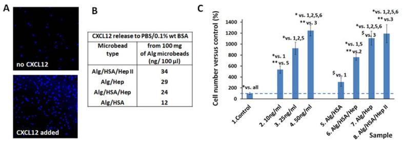 https://cdn.ncbi.nlm.nih.gov/pmc/blobs/8676/8583835/fe2f40f751c7/ijms-22-11666-g006.jpg