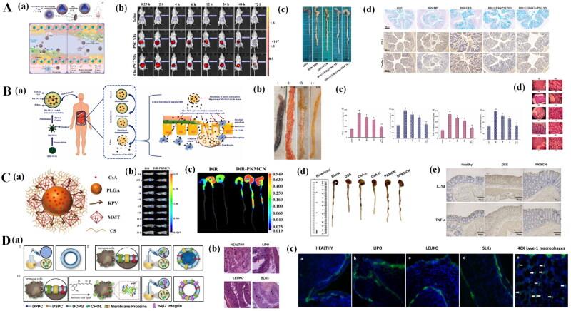 https://cdn.ncbi.nlm.nih.gov/pmc/blobs/8678/11485891/0f03e1207927/IDRD_A_2415580_F0004_C.jpg