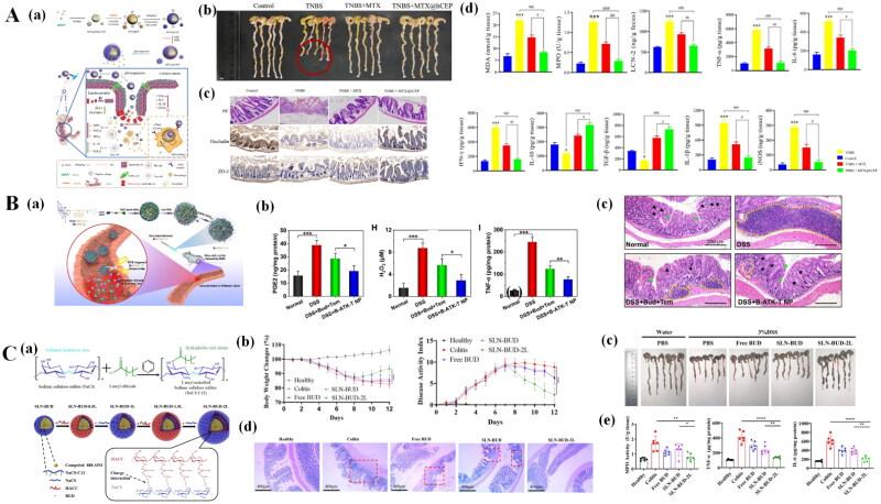 https://cdn.ncbi.nlm.nih.gov/pmc/blobs/8678/11485891/1a58c1d1ec1a/IDRD_A_2415580_F0005_C.jpg