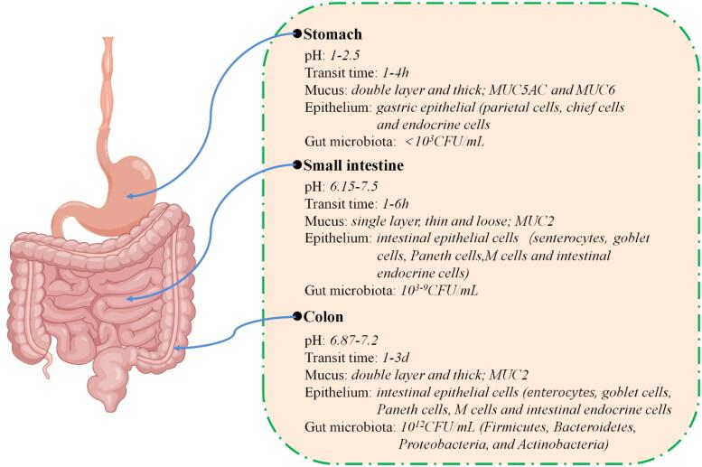 https://cdn.ncbi.nlm.nih.gov/pmc/blobs/8678/11485891/46ff1c3863d5/IDRD_A_2415580_F0001_C.jpg