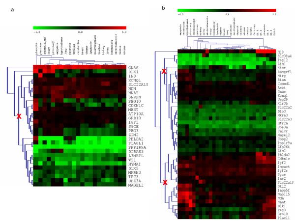 https://cdn.ncbi.nlm.nih.gov/pmc/blobs/8678/2671526/e13c8cf7384e/1471-2164-10-144-1.jpg