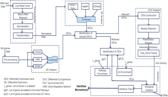 https://cdn.ncbi.nlm.nih.gov/pmc/blobs/8678/9769493/e5300046d08c/42979_2022_1492_Fig1_HTML.jpg