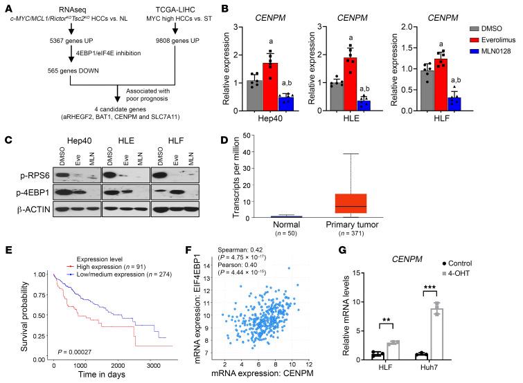 https://cdn.ncbi.nlm.nih.gov/pmc/blobs/867a/11563669/604def9e576c/jci-134-174415-g203.jpg