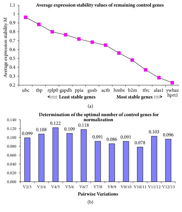 https://cdn.ncbi.nlm.nih.gov/pmc/blobs/867a/6189687/e6a983a884ea/BMRI2018-4953806.003.jpg