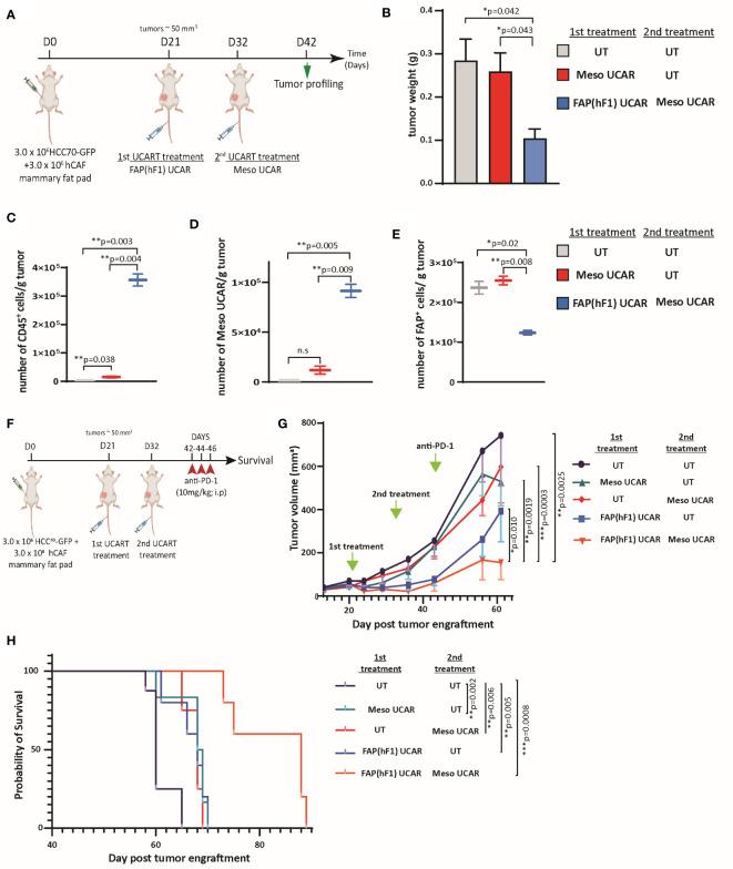 https://cdn.ncbi.nlm.nih.gov/pmc/blobs/867b/10213512/3dc97c510d68/fimmu-14-1172681-g004.jpg