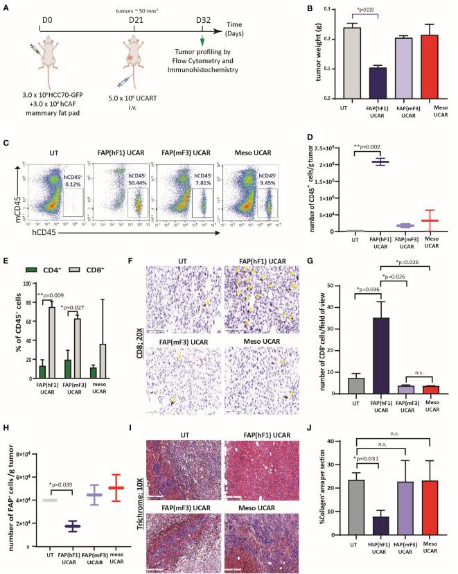 https://cdn.ncbi.nlm.nih.gov/pmc/blobs/867b/10213512/c40935c92304/fimmu-14-1172681-g003.jpg