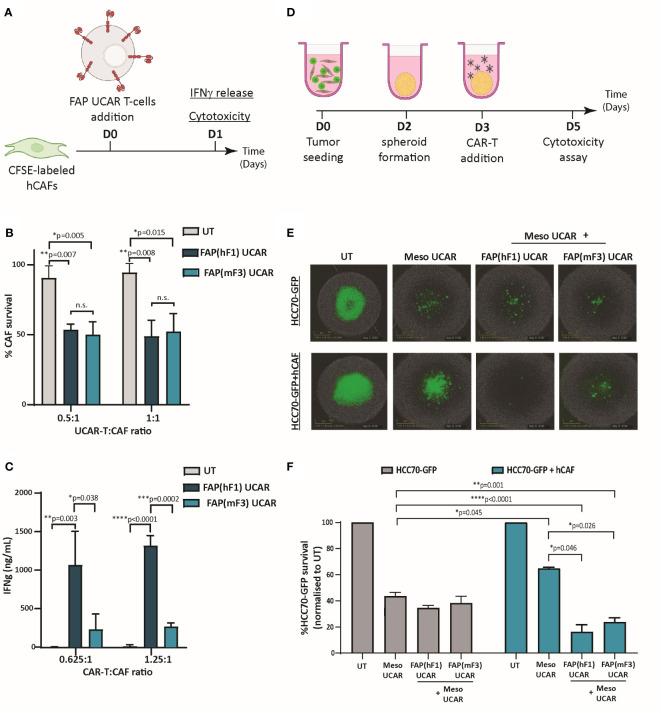 https://cdn.ncbi.nlm.nih.gov/pmc/blobs/867b/10213512/e0c5c774c0f9/fimmu-14-1172681-g002.jpg