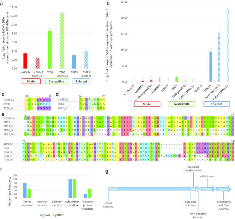 https://cdn.ncbi.nlm.nih.gov/pmc/blobs/867c/7685591/a1966bb8f4b3/12985_2020_1453_Fig4_HTML.jpg