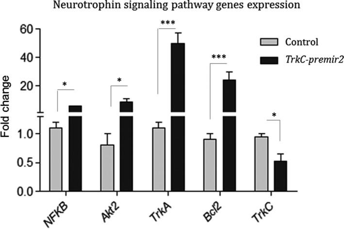 https://cdn.ncbi.nlm.nih.gov/pmc/blobs/867d/8034437/5de10cda4320/JCMM-25-3381-g004.jpg