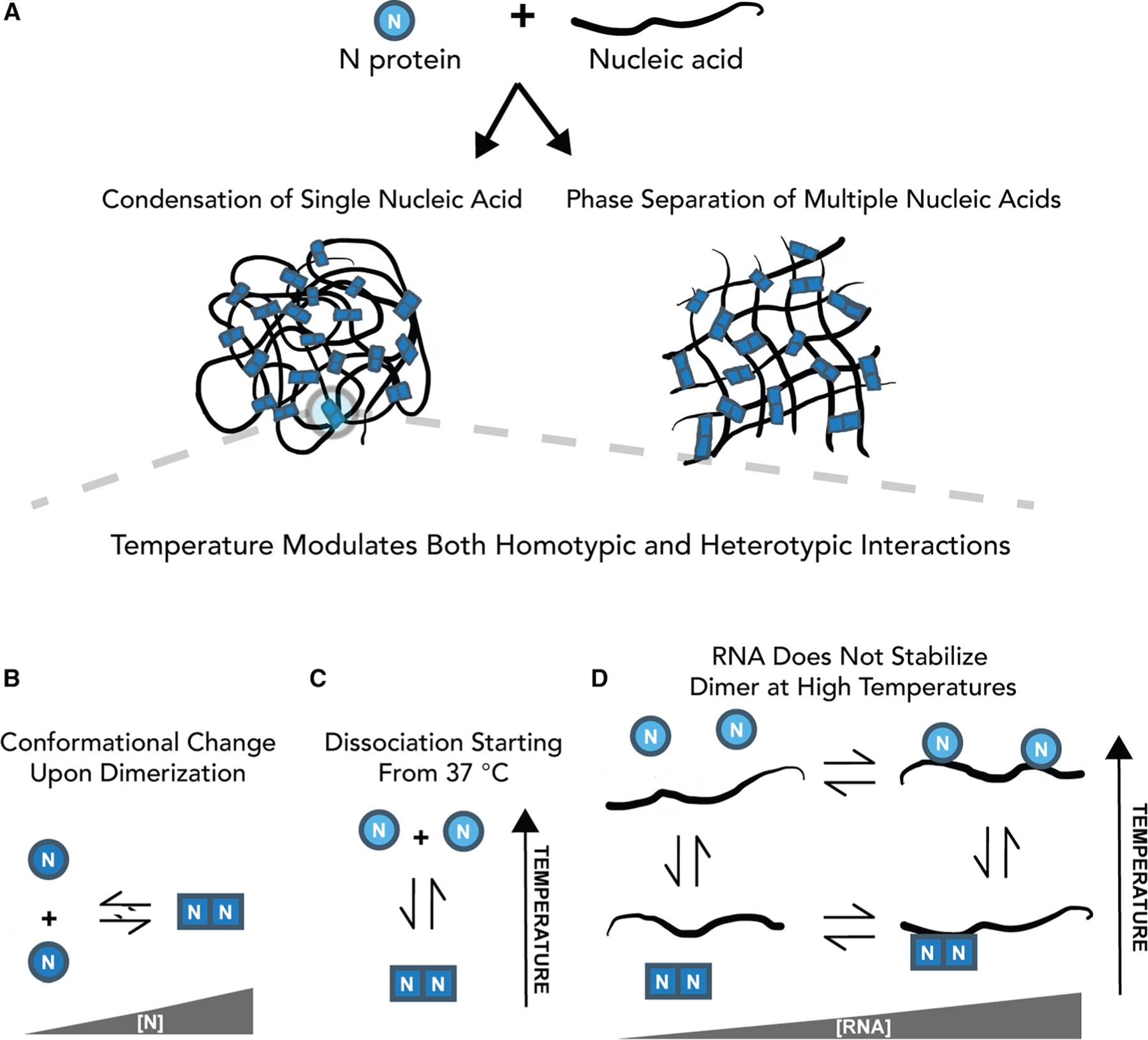 https://cdn.ncbi.nlm.nih.gov/pmc/blobs/8682/12385586/1e70ec888098/nihms-2098260-f0009.jpg