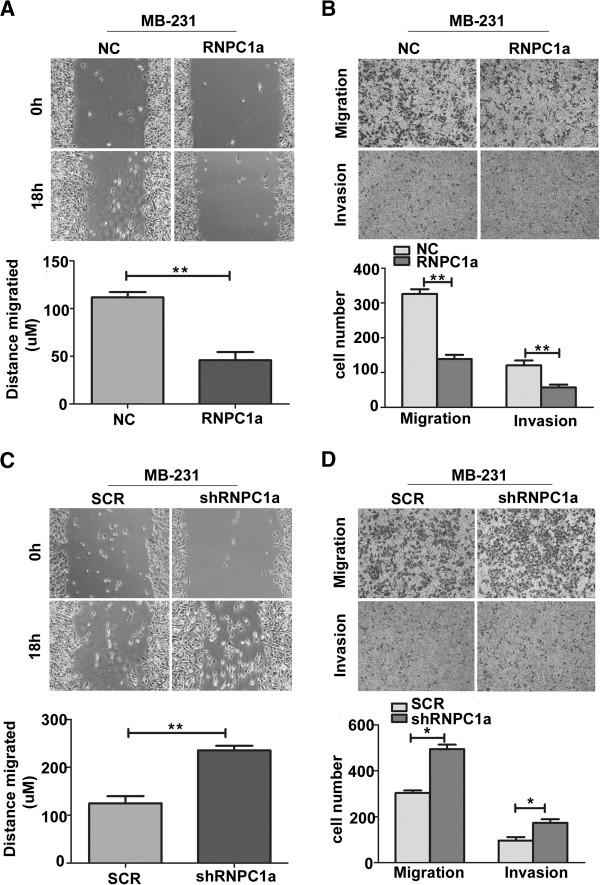 https://cdn.ncbi.nlm.nih.gov/pmc/blobs/8682/4101826/20ea2b175a3c/1471-2407-14-322-4.jpg