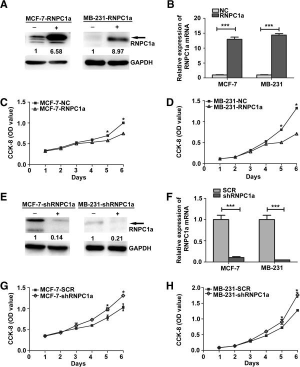 https://cdn.ncbi.nlm.nih.gov/pmc/blobs/8682/4101826/8e263a7dac92/1471-2407-14-322-2.jpg